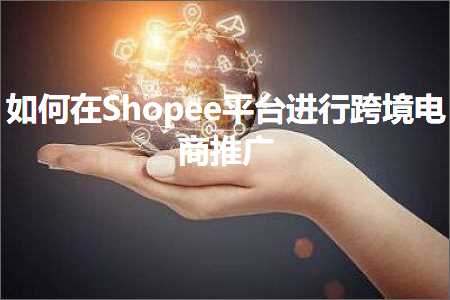 贺州网站推广 跨境电商知识:如何在Shopee平台进行跨境电商推广